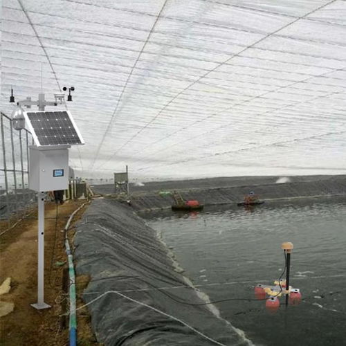 水產(chǎn)養(yǎng)殖監(jiān)測系統(tǒng) 現(xiàn)代水產(chǎn)品養(yǎng)殖的智慧守護(hù)者