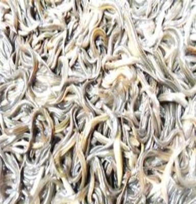 泥鰍養(yǎng)殖產(chǎn)業(yè) 從池塘到餐桌的生態(tài)與經(jīng)濟(jì)效益